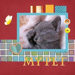 my pet - ScrapBook Page 12  x 12 