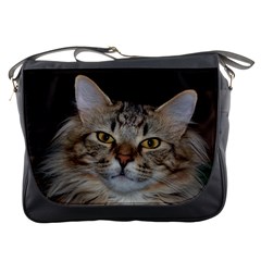 Messenger Bag - Gizmo the Cat