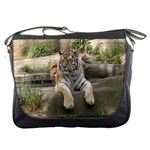 Messenger Bag - Siberian Tiger