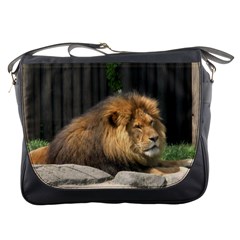 Messenger Bag - Relaxed Lion
