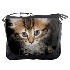 Messenger Bag - Gizmo the Cat (2)