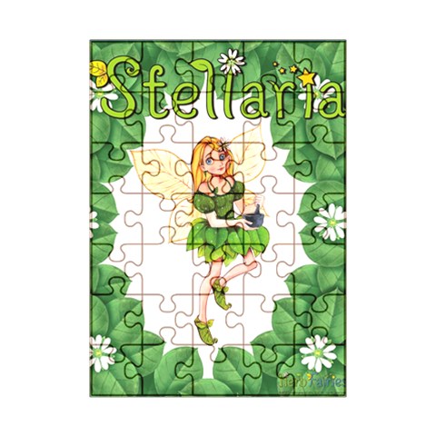 Stellaria Puzzel By Ashley Front