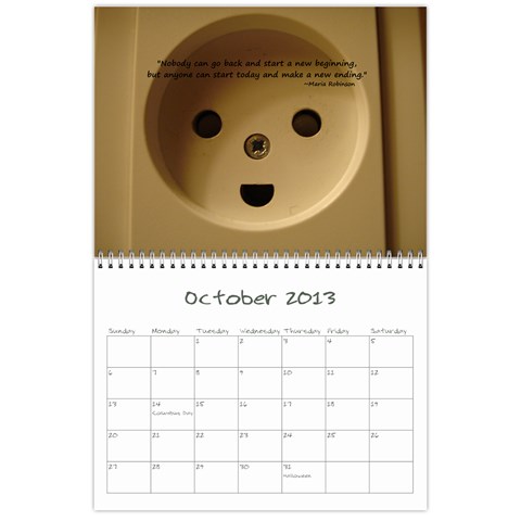 2013 Sam Fisher 18 Month Calendar By Alina Waring Oct 2013