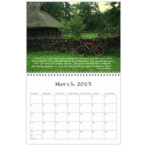 2013 Sam Fisher 18 Month Calendar By Alina Waring Mar 2013