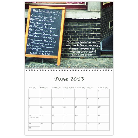 2013 Sam Fisher 18 Month Calendar By Alina Waring Jun 2013