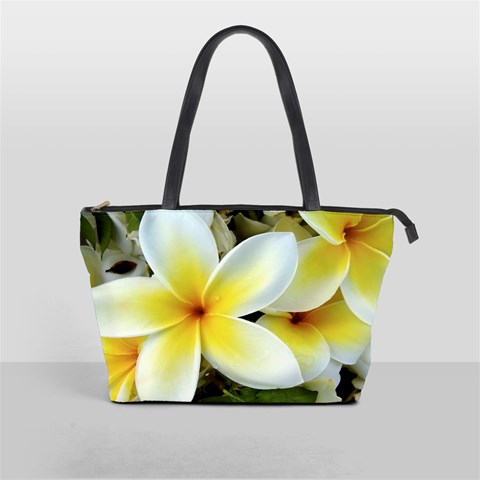 Tropical Frangipani Flower By Lou Front