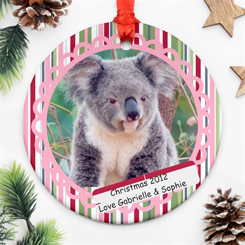 Koala By Gabrielle Grant Front