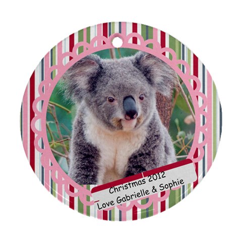 Koala By Gabrielle Grant Front