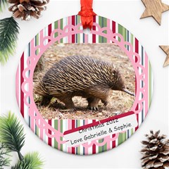 echidna - Ornament (Round)