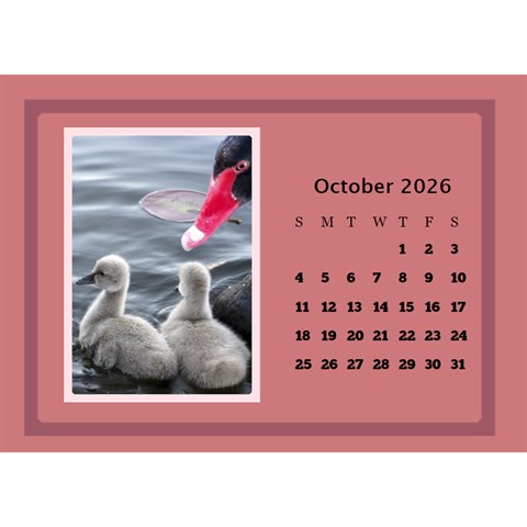 Shades Of Red Desktop Calendar (8 5x6) By Deborah Oct 2026
