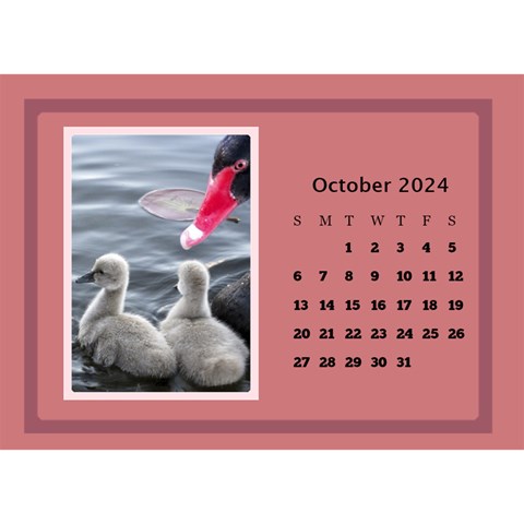 Shades Of Red Desktop Calendar (8 5x6) By Deborah Oct 2024