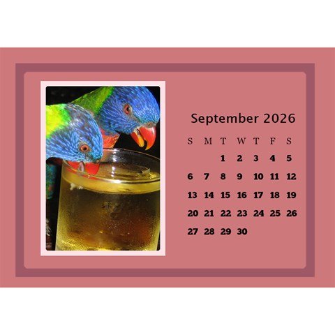 Shades Of Red Desktop Calendar (8 5x6) By Deborah Sep 2026