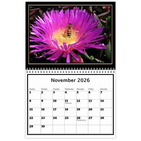 My Black And Gold  Wall Calendar 11x8 5 By Deborah Nov 2026