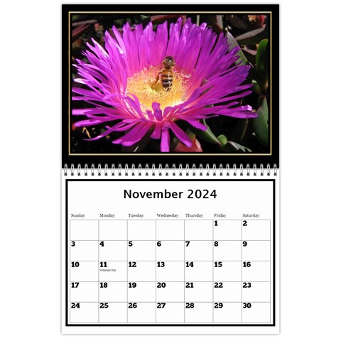 My Black And Gold  Wall Calendar 11x8 5 By Deborah Nov 2024