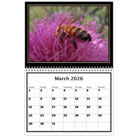 My Black And Gold  Wall Calendar 11x8 5 By Deborah Mar 2026