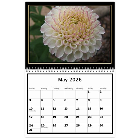 My Black And Gold  Wall Calendar 11x8 5 By Deborah May 2026