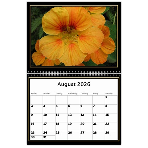 My Black And Gold  Wall Calendar 11x8 5 By Deborah Aug 2026