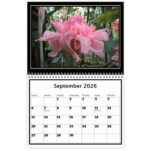 My Black And Gold  Wall Calendar 11x8 5 By Deborah Sep 2026