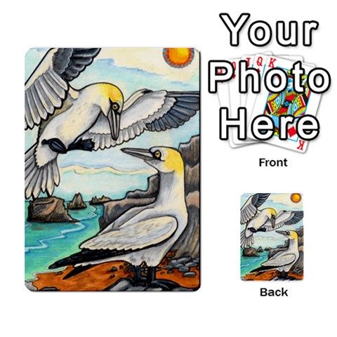 New Zealand Naturally Collectible Cards 1 By Angela Front 10