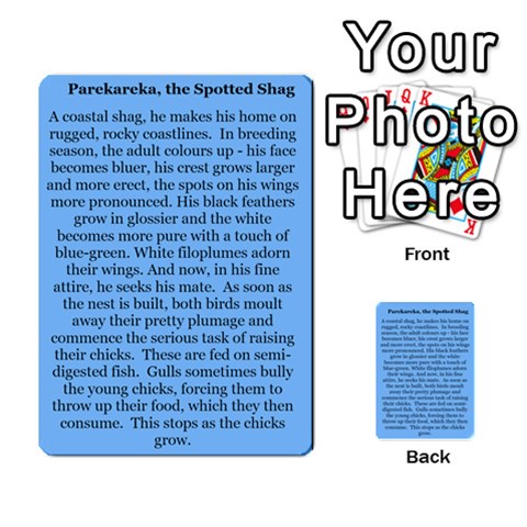 New Zealand Naturally Collectible Cards 1 By Angela Back 11