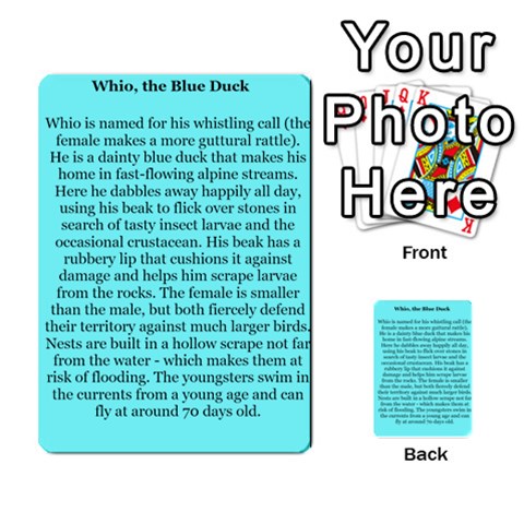New Zealand Naturally Collectible Cards 1 By Angela Back 18