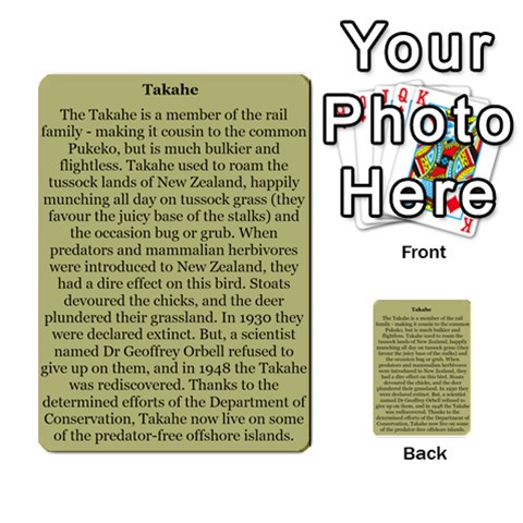 New Zealand Naturally Collectible Cards 1 By Angela Back 22