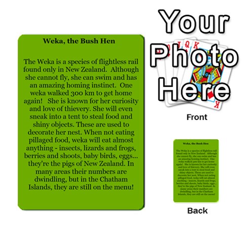 New Zealand Naturally Collectible Cards 1 By Angela Back 24