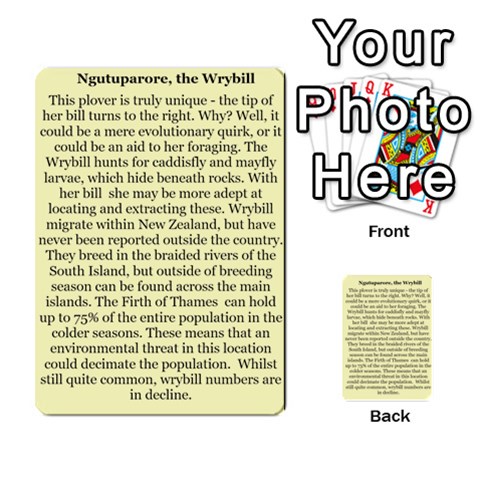 New Zealand Naturally Collectible Cards 1 By Angela Back 28