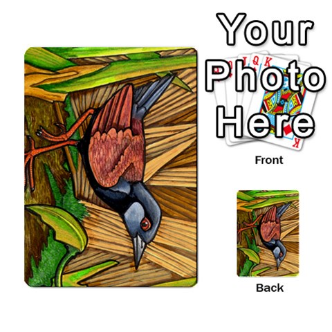 New Zealand Naturally Collectible Cards 1 By Angela Front 29