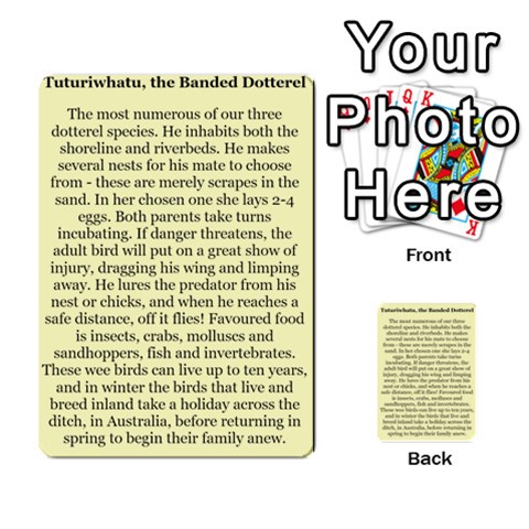 New Zealand Naturally Collectible Cards 1 By Angela Back 30