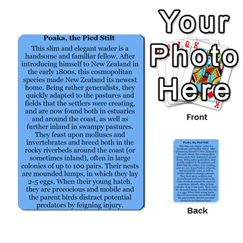 New Zealand Naturally Collectible Cards 1 By Angela Back 32