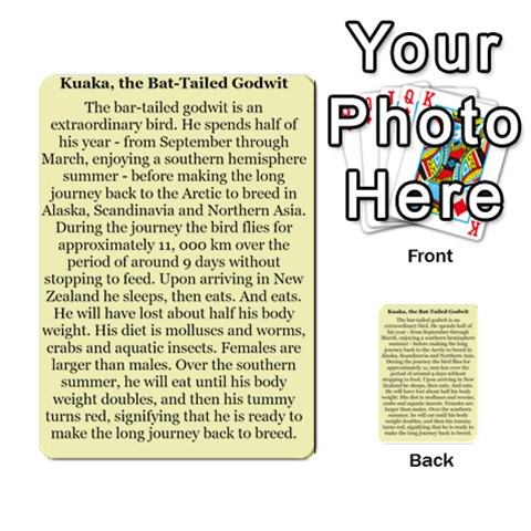 New Zealand Naturally Collectible Cards 1 By Angela Back 33
