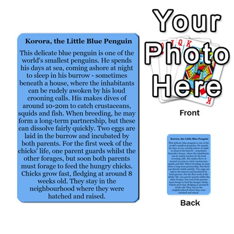 New Zealand Naturally Collectible Cards 1 By Angela Back 4