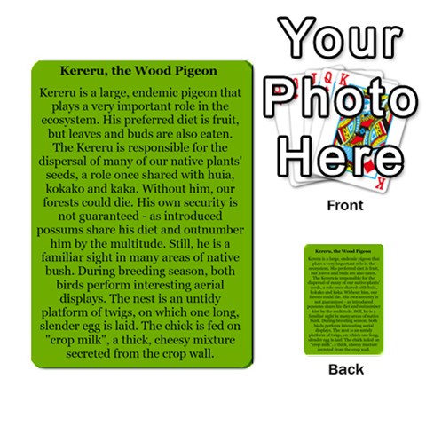 New Zealand Naturally Collectible Cards 1 By Angela Back 37