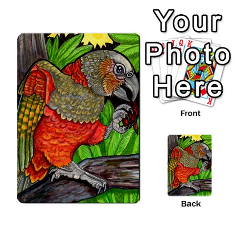 New Zealand Naturally Collectible Cards 1 By Angela Front 39