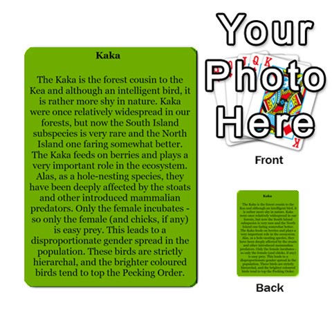 New Zealand Naturally Collectible Cards 1 By Angela Back 39