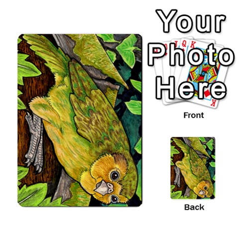 New Zealand Naturally Collectible Cards 1 By Angela Front 40