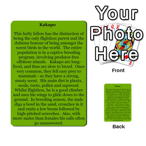 New Zealand Naturally Collectible Cards 1 By Angela Back 40