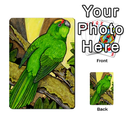 New Zealand Naturally Collectible Cards 1 By Angela Front 41