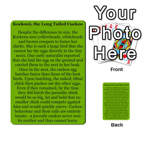 New Zealand Naturally Collectible Cards 1 By Angela Back 42