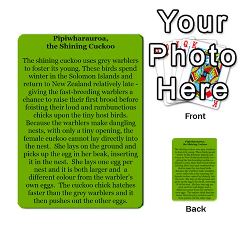 New Zealand Naturally Collectible Cards 1 By Angela Back 43