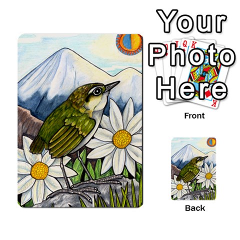 New Zealand Naturally Collectible Cards 1 By Angela Front 47