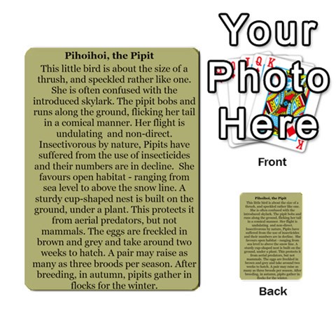 New Zealand Naturally Collectible Cards 1 By Angela Back 49
