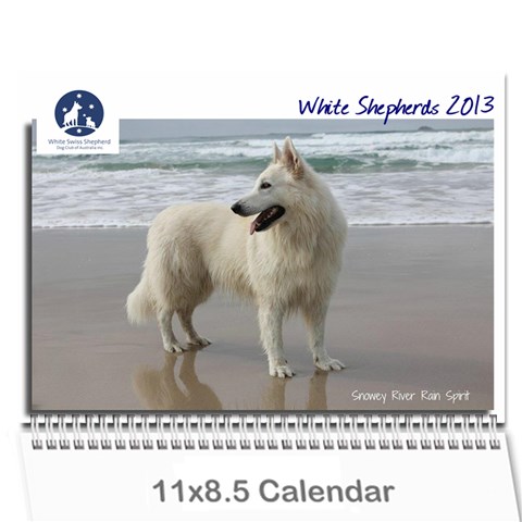 2013 Wssdca Calendar By Donna Cover