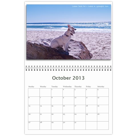 2013 Wssdca Calendar By Donna Oct 2013
