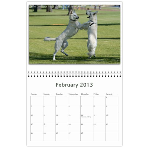 2013 Wssdca Calendar By Donna Feb 2013