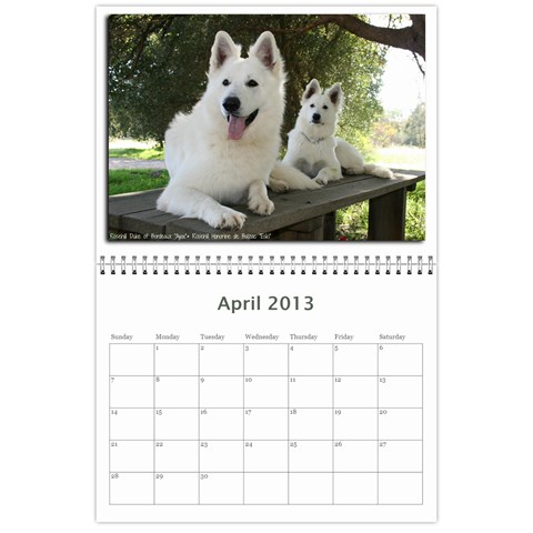 2013 Wssdca Calendar By Donna Apr 2013