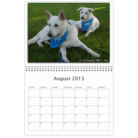 2013 Wssdca Calendar By Donna Aug 2013