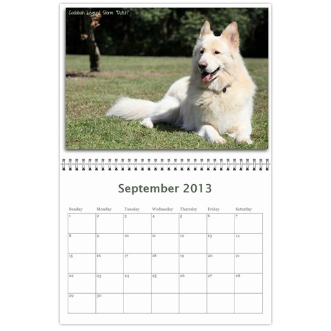 2013 Wssdca Calendar By Donna Sep 2013
