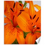 orange.flower.pearl.1 - Canvas 20  x 24 